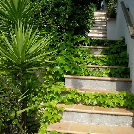 Les Grimaldines Cote D Azur *