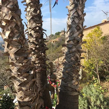 Villa Les Grimaldines Cote D Azur *